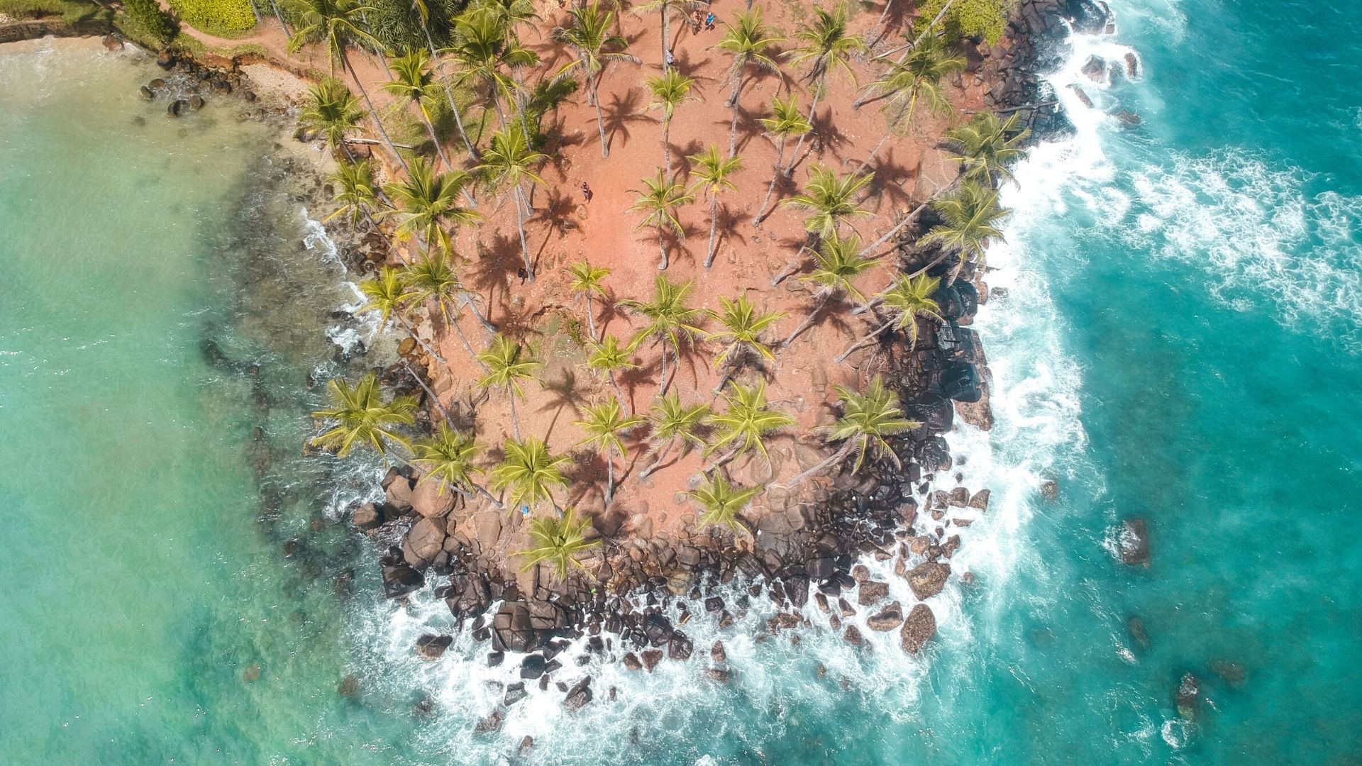 Coconut-Tree-Hill-Mirissa-Sri-Lanka